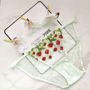 NWT VICTORIA'S SECRET DREAM ANGELS STRAWBERRY EMBROIDERY CHEEKINI PANTY SIZE EXT